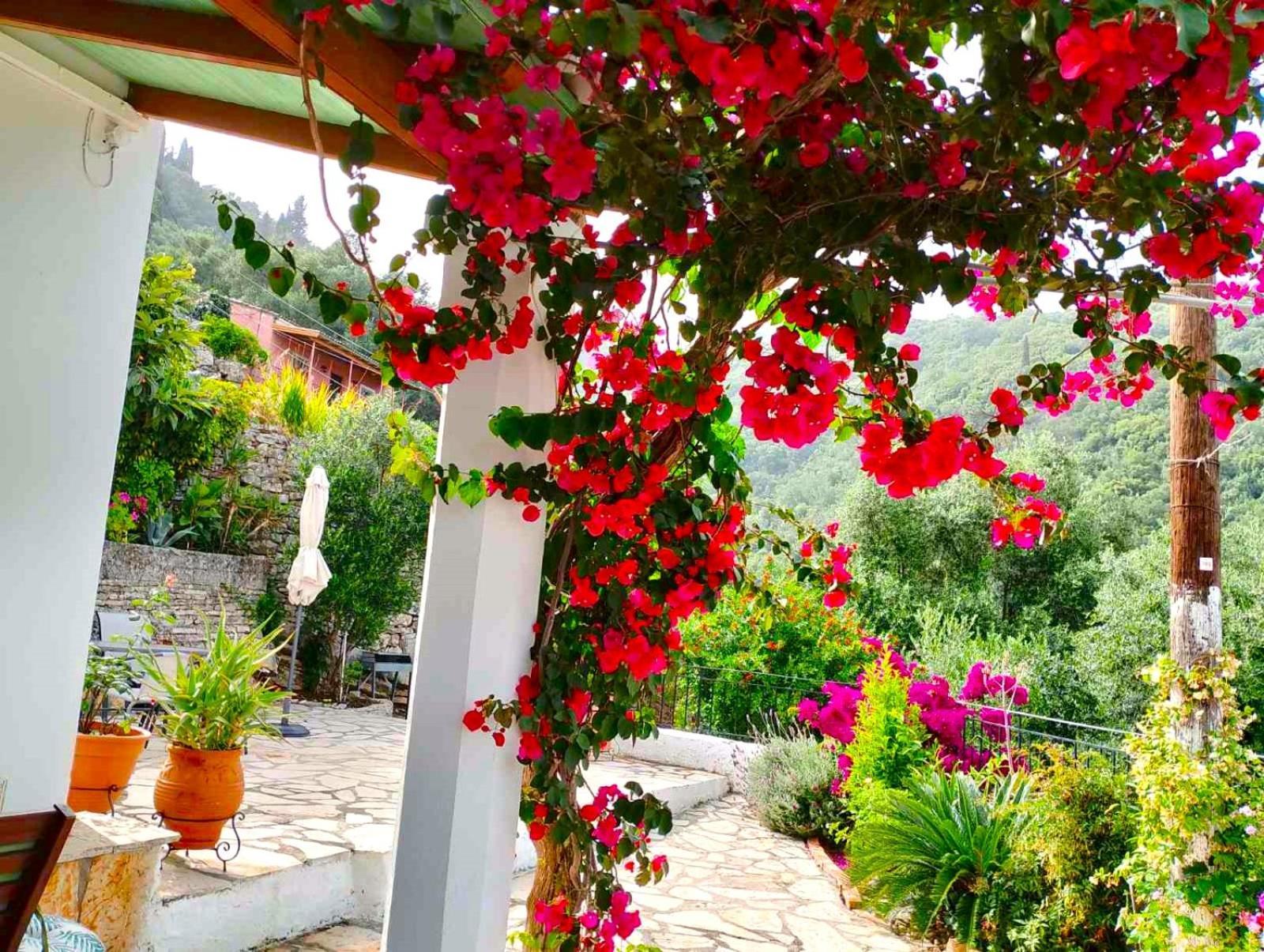 Fior Di Corfu Villa Kalámi Buitenkant foto